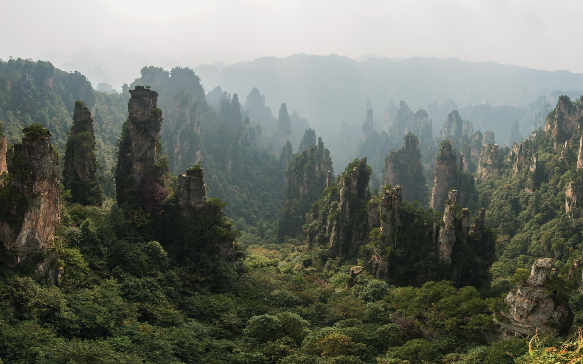 Sandstone pillar forest in Zhangjiajie