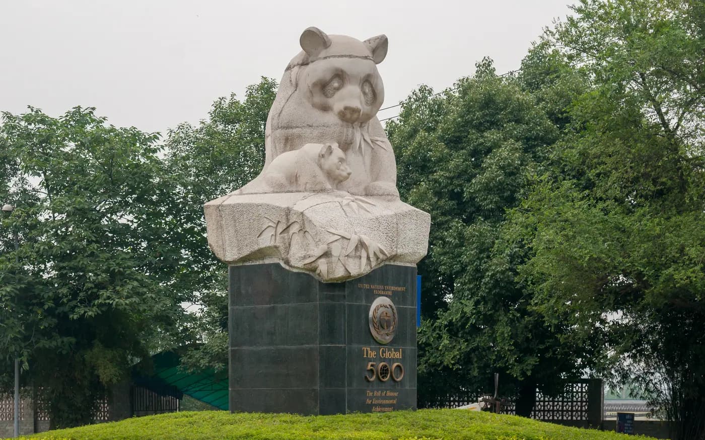 Chengdu panda base for a halal-aware family China journey